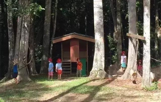 仅需10分钟，轻松搞清蒙氏、华德福、瑞吉欧三大幼教体系