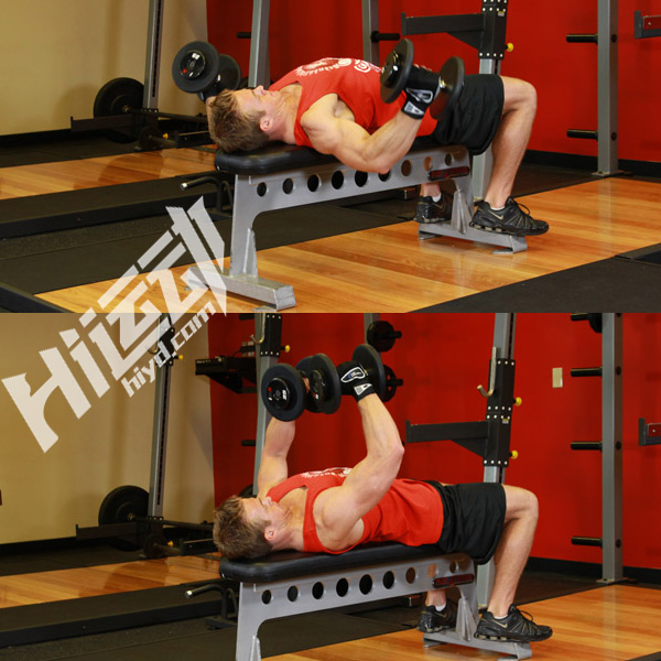 弹力绳练胸肌和哑铃练胸肌,徒手练胸肌好还是哑铃练胸肌好