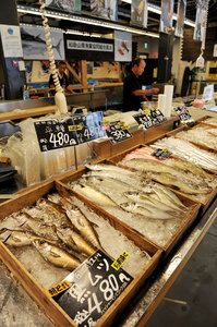 jr大阪一日游,大阪jr旅游攻略