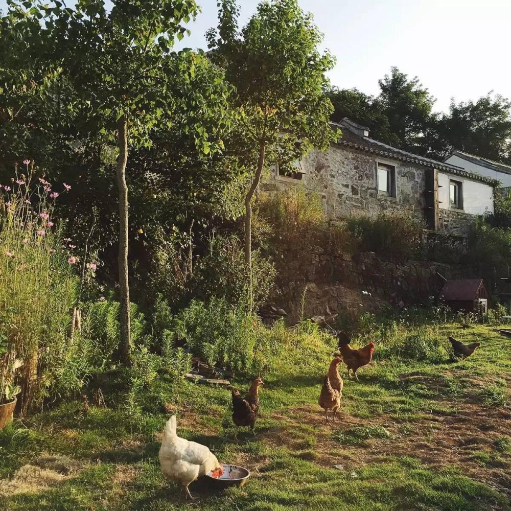 中国日落绝美小渔村,五一旅游小渔村日落