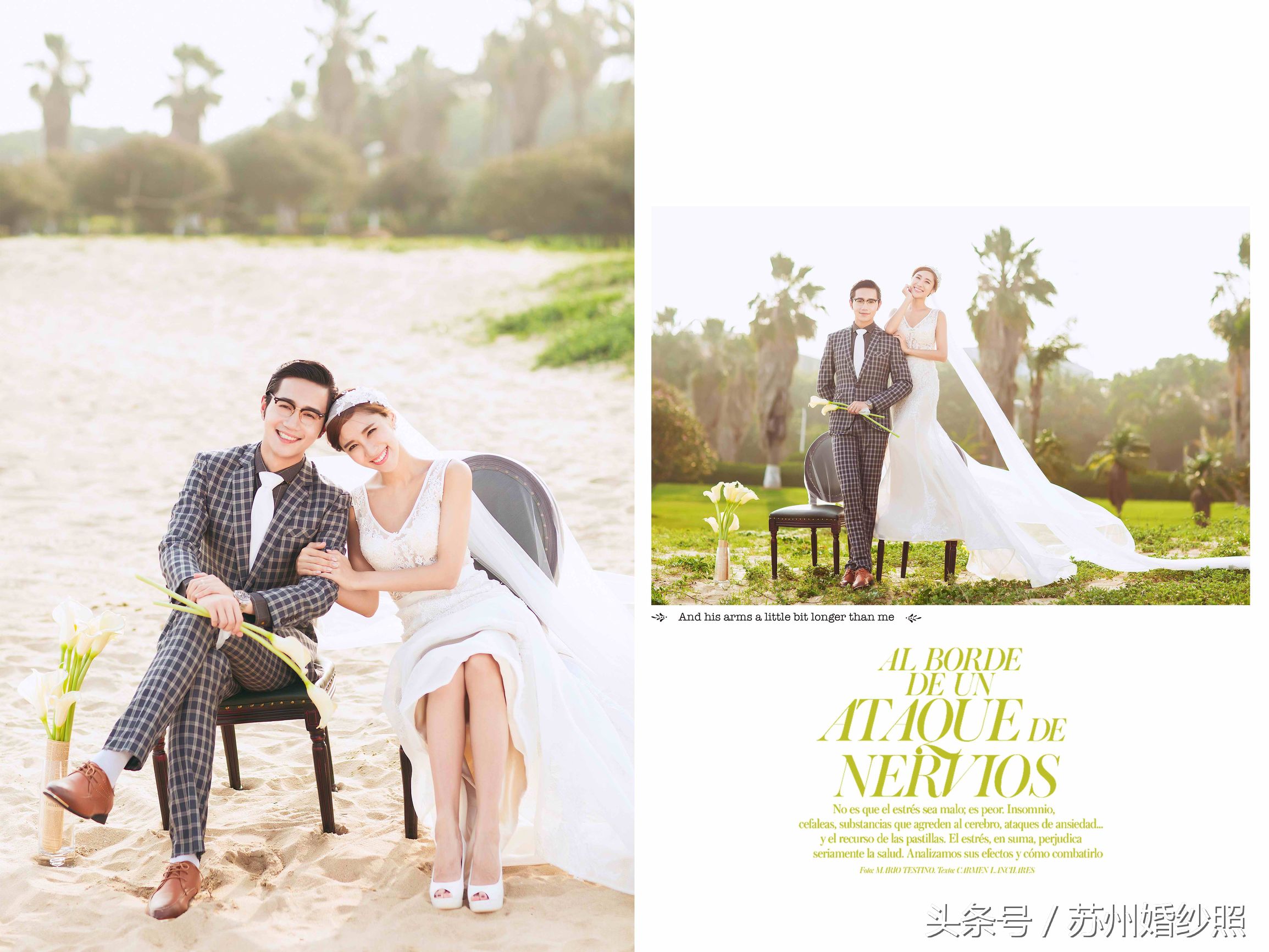 拈一朵落花，执笔写意人生