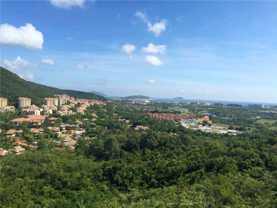 三亚旅行结婚纪念日,小两口结婚纪念日在家过二人世界