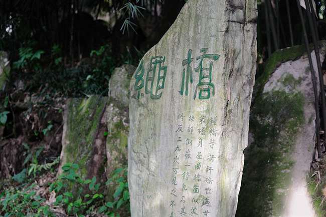 重庆鹅岭公园的介绍,重庆鹅岭公园有什么好玩的