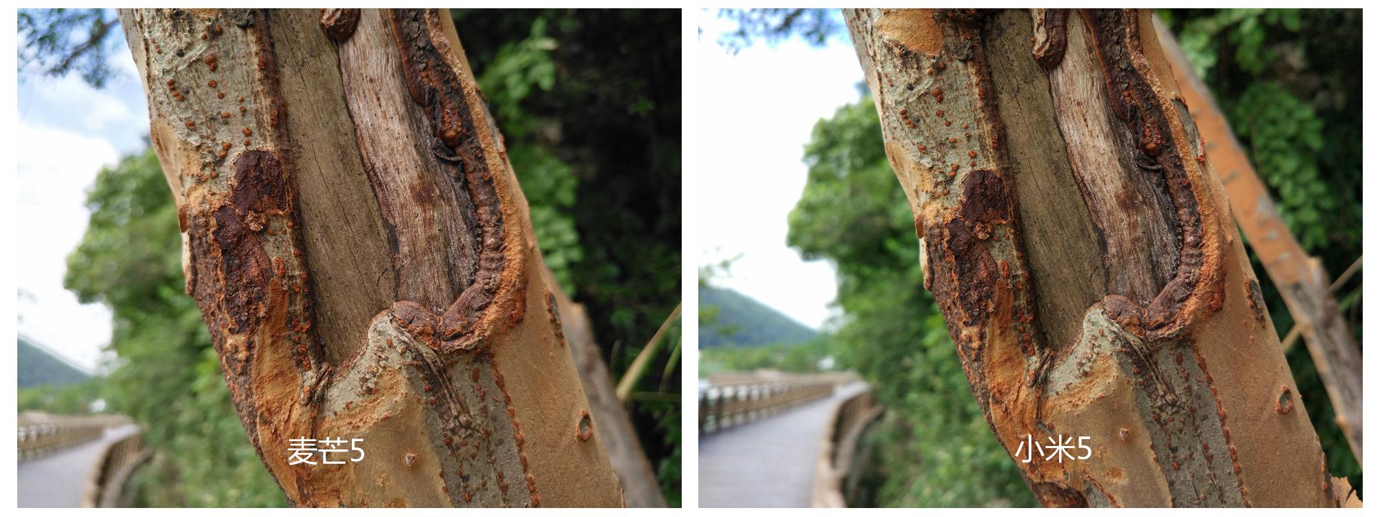 华为麦芒5怎么样值得买吗,华为麦芒5体验评测