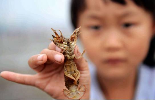 西海岸灵山卫钓鱼的钓点,灵山卫海边钓鱼