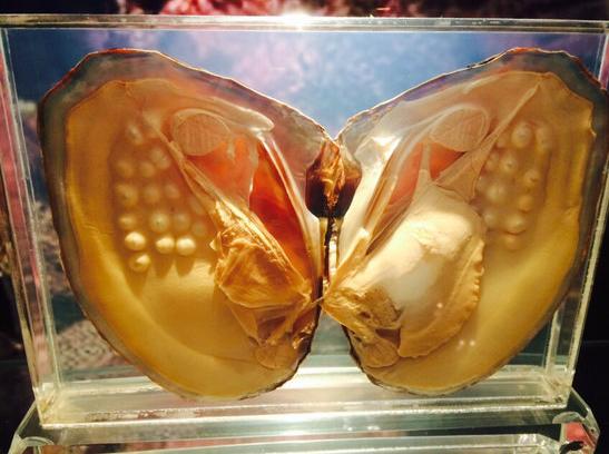 三亚下雨适合去旅游吗,三亚旅游遇到雨天怎么办