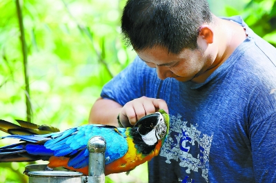 冬天北京野生动物园猛兽体验区,北京野生动物救助繁育中心
