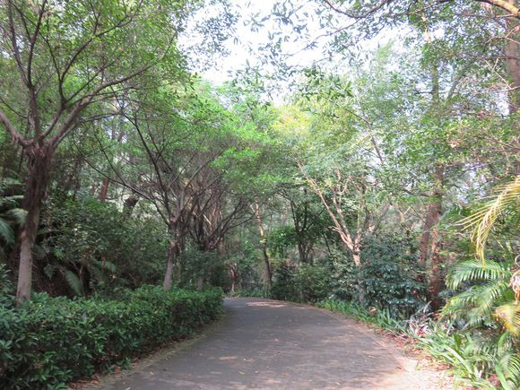 奔跑吧兄弟操场跑步哪一期,奔跑吧兄弟布拉格广场是哪一期