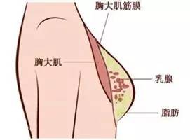 怎样减腋下赘肉,教你甩掉烦人赘肉