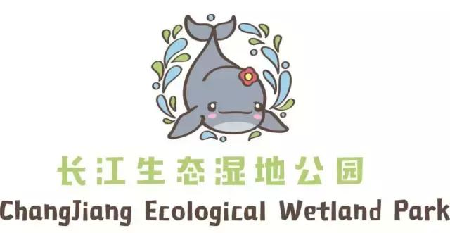 再见里约！32年前她们合影镇江，32年后她们笑傲奥运赛场！