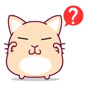 今晚虹口足球场,虹口足球场坐满的盛况