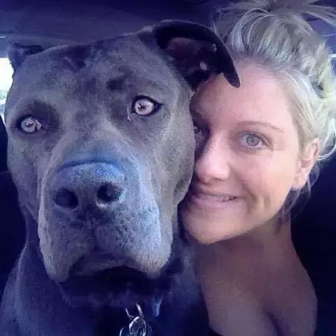 比特犬可爱的一面,比特犬没想象中的可怕