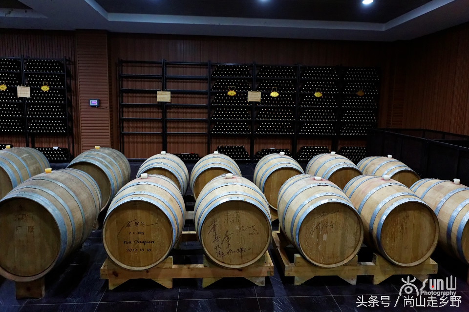 走进红酒庄园,走进葡萄庄园