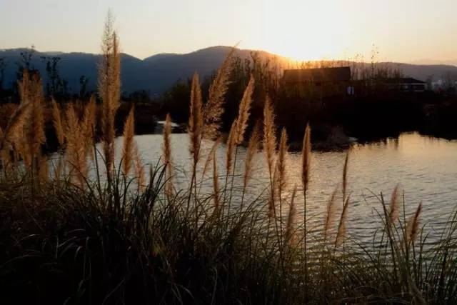 西昌邛海公园最新消息,西昌邛海湿地可以从哪个门进去