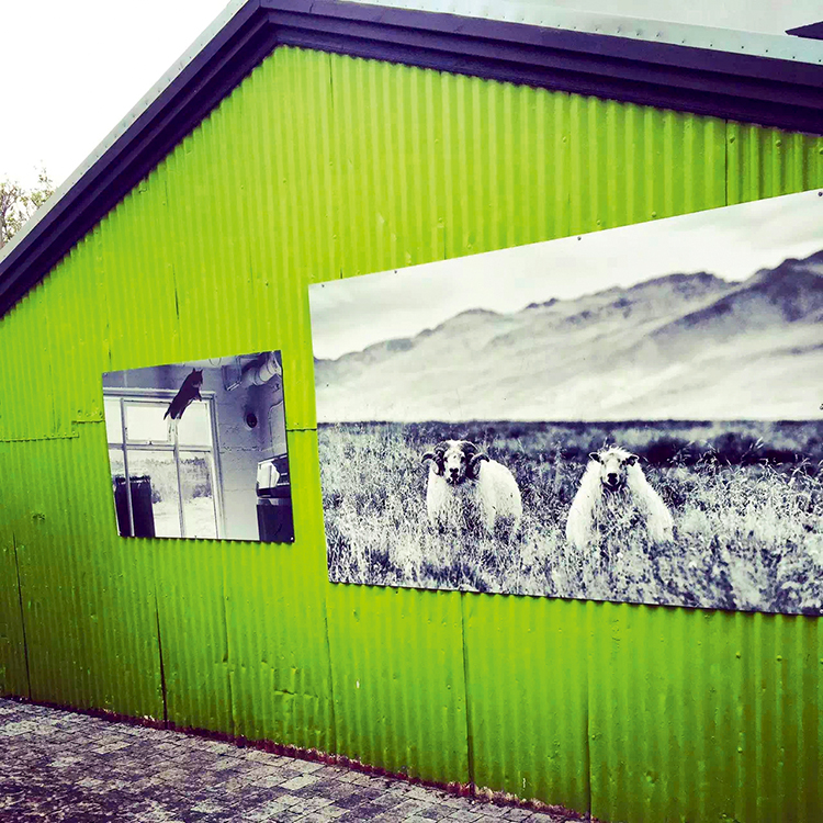 手机旅行vlog摄影教学视频,手机摄影旅行vlog海边