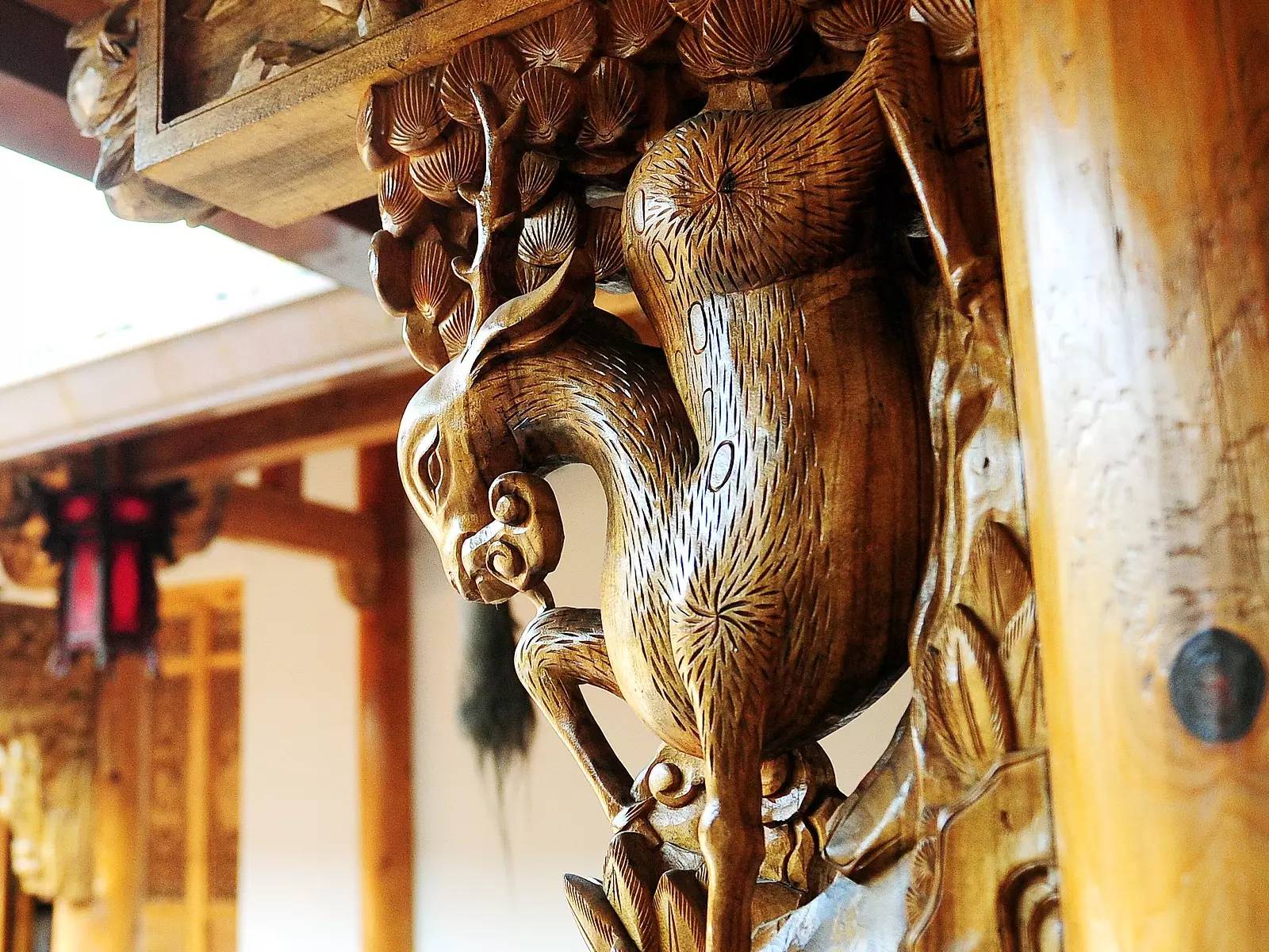 藏在小竹溪村的“私家园林”，躺在浴缸里就能看日出日落