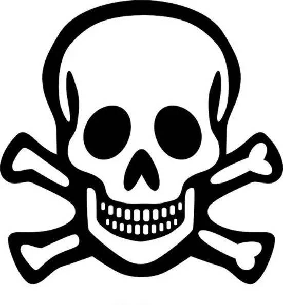 神马鬼|10万1只的奇葩昆虫宠物