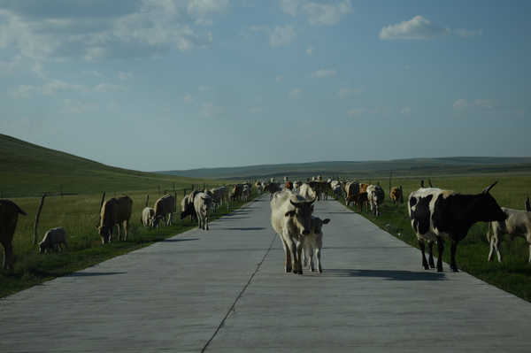 北京北戴河锡林郭勒自驾游,北京和锡林郭勒旅游攻略