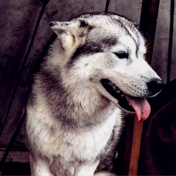 手机旅行摄影拍照,手机旅行vlog摄影教学视频