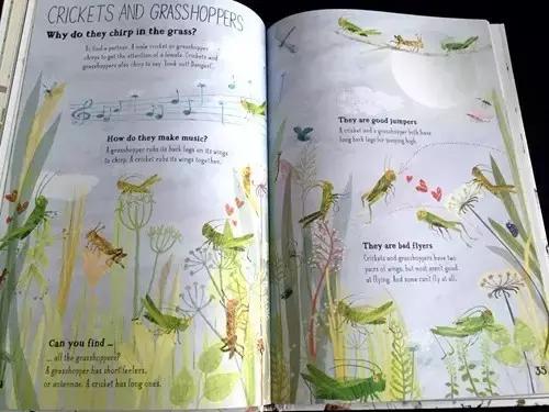 种草|我带了1000元去上海书展买进口书,结果......