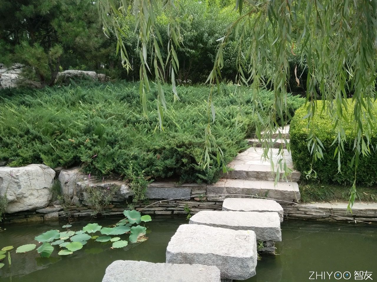 vivox7plus怎么开美颜,vivox7plus夜景拍照教程