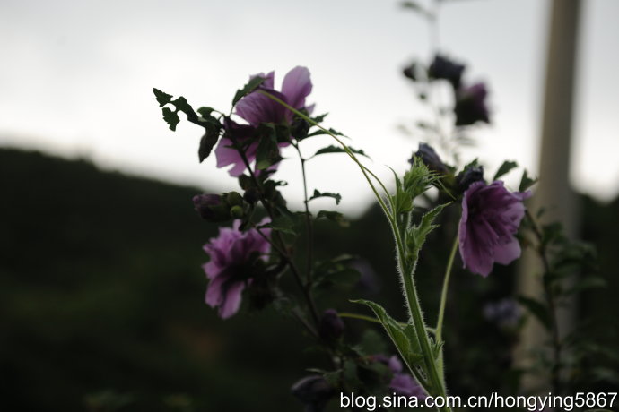 三明建宁：曾经软禁过二战谍报奇才的闽北小城