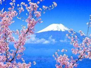 上海去日本旅游签证如何办,如何办理去日本探亲签证