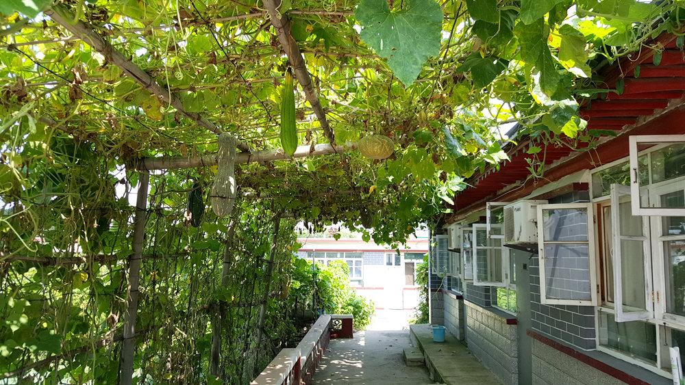 乐亭碧海渔家,乐亭碧海渔家怎么样