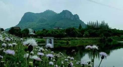 枞阳麒麟岱鳌山公墓开发,枞阳县大鳌山