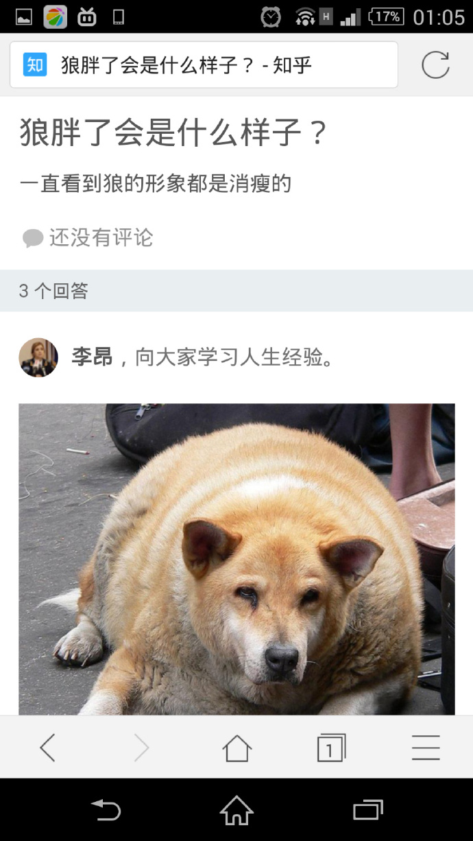 城会玩！开着汽车踢足球，用挖掘机当守门员