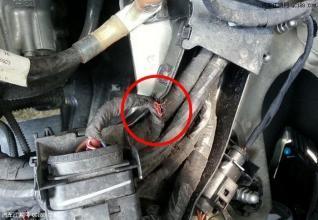 车内有异味去修车店怎么清除,车内有臭味是找汽修厂还是洗车