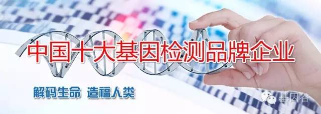 国内基因检测公司排名前十,值得信赖的国内基因检测公司