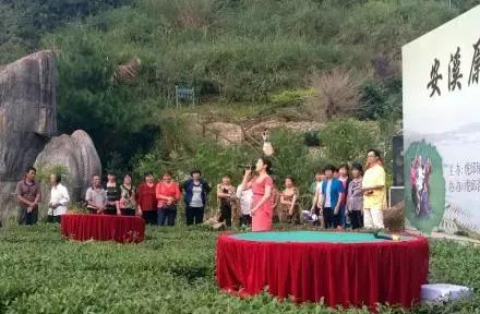 走进中国茶都安溪，看看是怎么样的一座城市