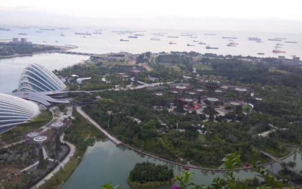 新加坡入住金沙酒店游玩,新加坡小住见闻