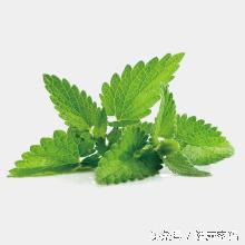 肠胃感冒肠胃炎该吃什么药,肠胃感冒发烧的治疗方法