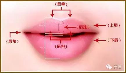 唇唇欲动攻略,唇部拯救你的唇形