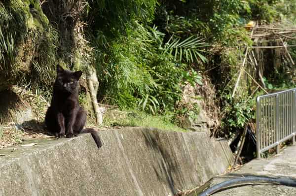 在台湾流浪14天~火星人的环岛路线！