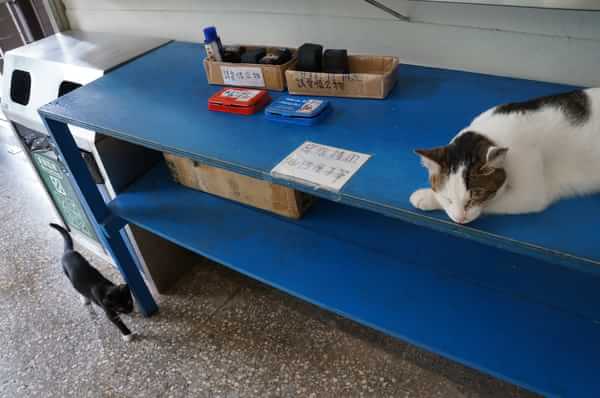 在台湾流浪14天~火星人的环岛路线！