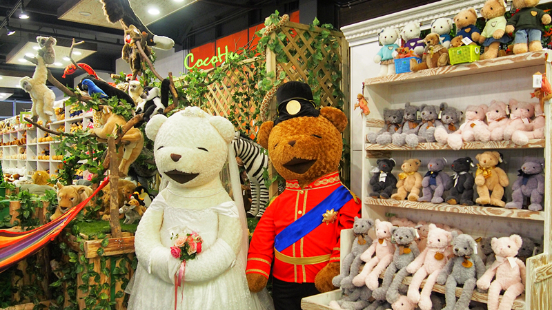 济州济州请留下一万个熊抱！