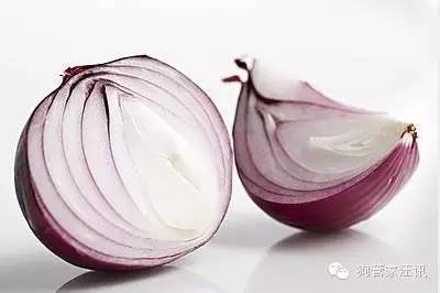 狗狗的十大食物,狗狗禁忌食物一览表