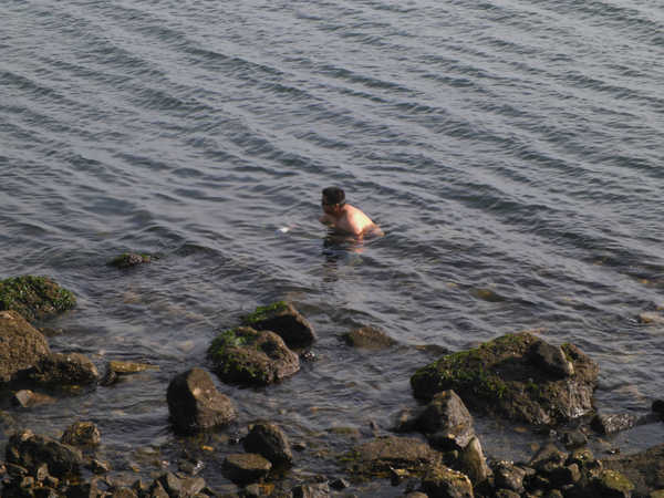 大连金州滨海公园,大连夏家河子滨海公园