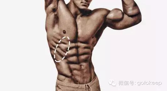 腹肌雕刻2个动作唤醒马甲线,腹肌马甲线效果图大全