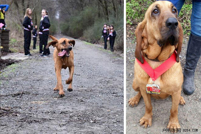 2023德国慕尼黑ispo户外用品展,ispo北京户外展2024