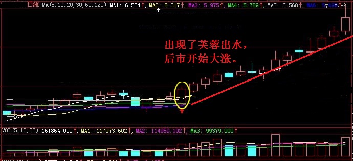 操盘手持续盈利方法,顶级操盘手牛股暴涨背后