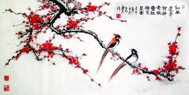 看梅花的千姿百态,看各种梅花