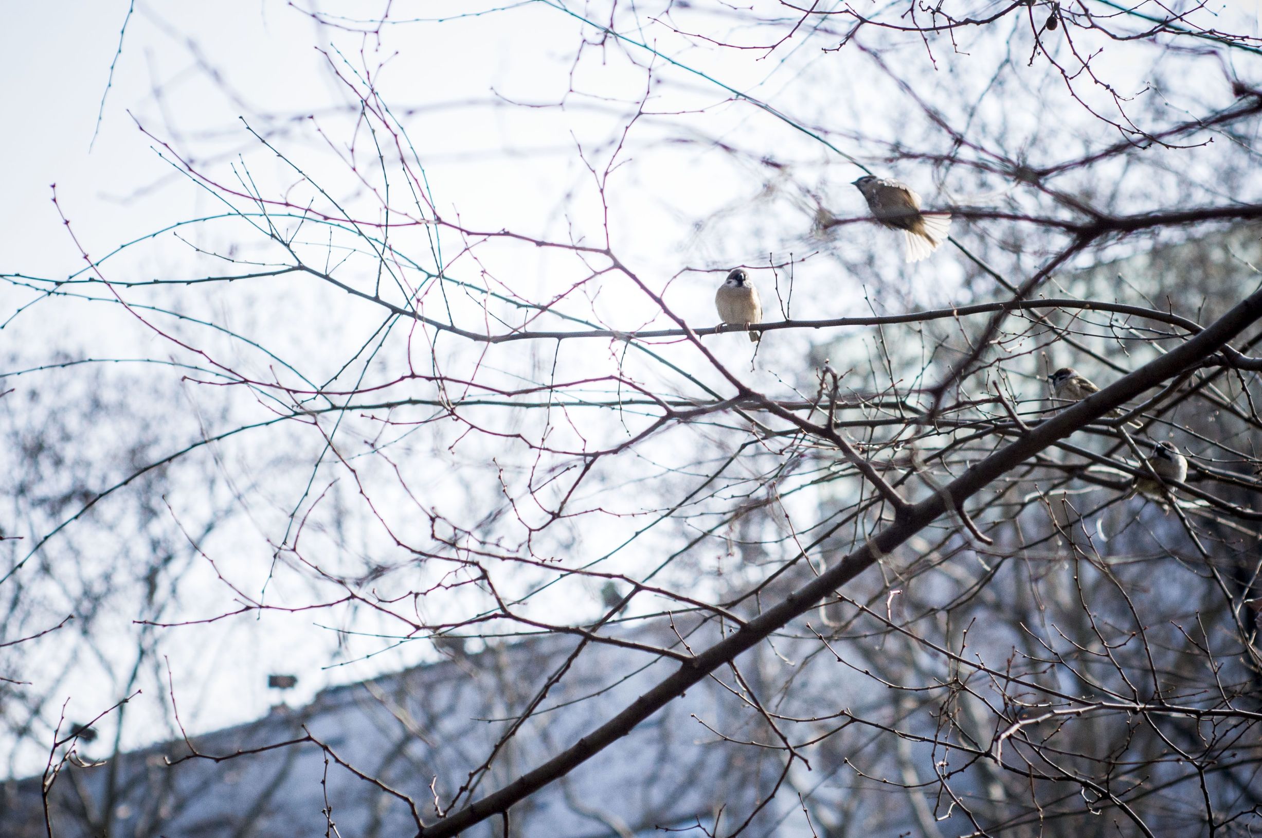 尼康z501.8s,尼康5018d价格