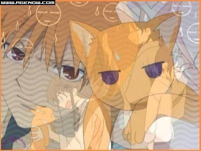 动漫卡通猫的名字,可爱动漫猫图片