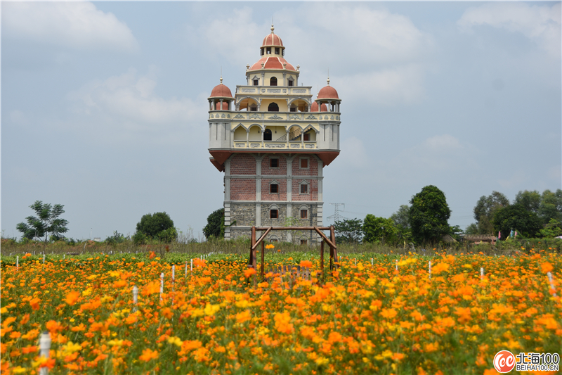周末去哪儿玩？小编带你去合浦七里香茶庄园和石康镇“小村故事”