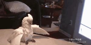 你们说他到底梦见什么了呢？这一发有点意思~~下次奥运就用这招