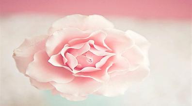 妇科疾病自检知识,妇科疾病自检大全宫颈糜烂